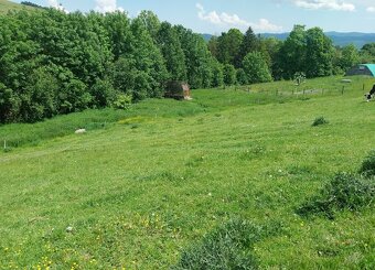 Predám pozemky v katastri Vojňany - 6