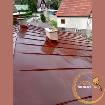 ✔️✔️NÁTERY STRIECH✔️MAĽOVANIE STRECH / NATERANIE / ČISTENIE - 6