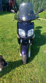 Yamaha Versity VP 300 - 6