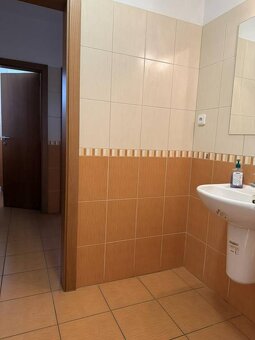 Sklad 67m2, 108m2, kancelárie 17m2,19m2, 32m2 v areáli. Šenk - 6