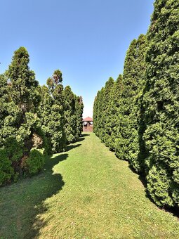 Priestranný 3 izbový dom s dvojgarážou, Kráľovičove Kračany - 6