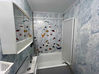 Na prenájom veľký 1-izbový byt, PP Starý Juh, pri nemocnici - 6