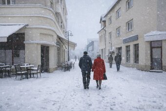 Obchodný priestor na prenájom 20 m², centrum Žiliny