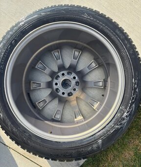 Disky R19 Brock B21 - 6