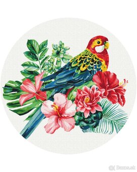 okrúhle maľby podľa čísel - 6