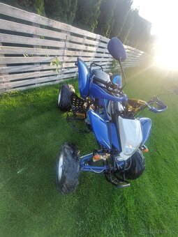 Bashan 250 - 6