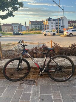 Bicykel 29 capriolo oxygen - 6
