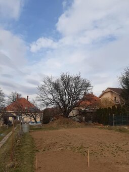 Arboristické a Pilčícke práce - 6