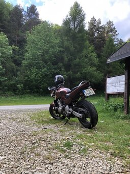 Honda Hornet 600 - 6