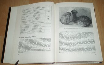 Práce včelára - 6