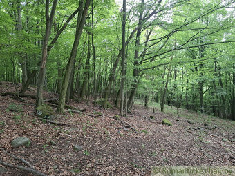 NOVÁ CENA  Rozsiahle lesné pozemky v Podpoľaní - 6