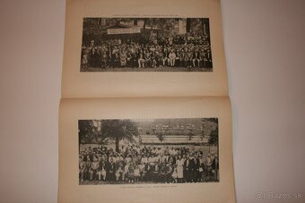 Obdobie zlatého jubilea Národného slovenského spolku - 6