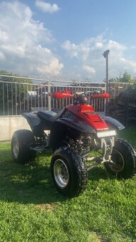 Yamaha Warrior 350ccm - 6