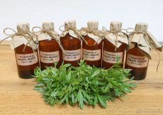 ZÁZVOROVÝ sirup 2025. - 6