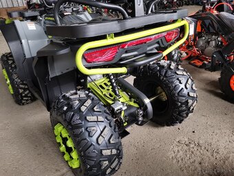 Ranger 300RR - 6
