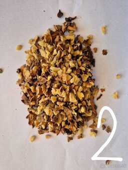 Vlašské orechy - zlomky 2025 - 6