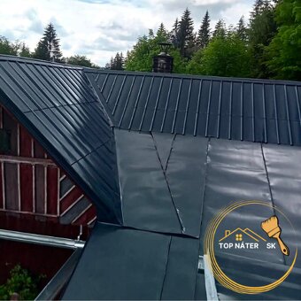 🟢✅Nátery striech✅TopNáterSK🟢Striekanie striech✅ - 6