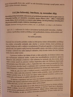 Slovenská kazateľská spisba 19. storočia - 6