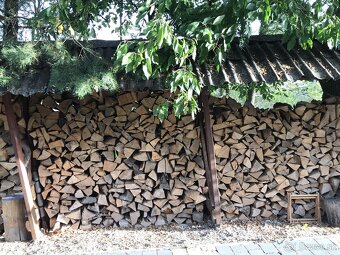 Palivove  bukove drevo - 6