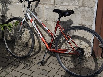 Bicykel Dema - 6