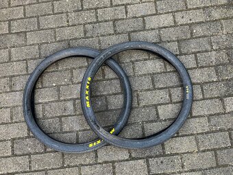 Ctm dirtking 2020 - 6
