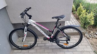 CTM TERRANO LADY - 6
