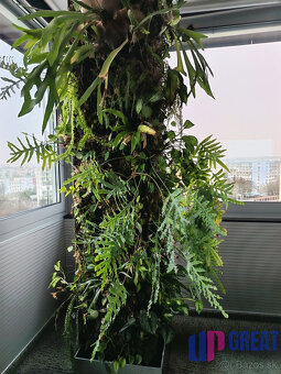 Ikonické Sídlo na prenájom pre Lídrov na 10. Poschodí - 6