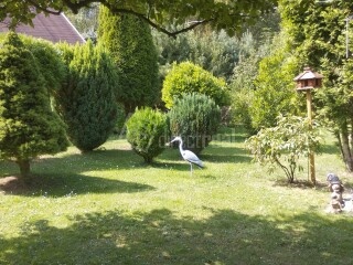 Predaj chalupy/ rod.domu v Detve, Piešť - 6