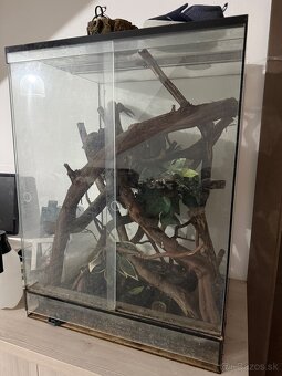 Pagekon riasnaty - 6