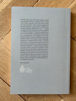 Prebúdzanie obra: román o živote biskupa Štefana Moysesa - 6