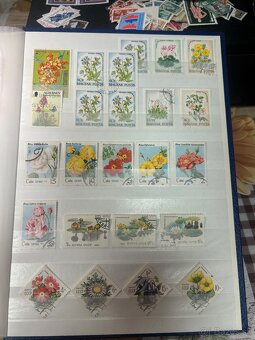 Námetová zbierka kvety - 6