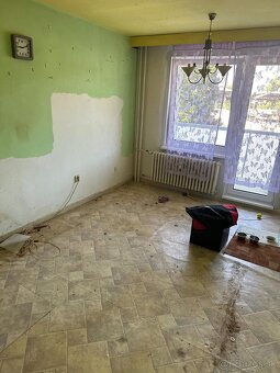 Vypratávanie, sťahovanie, búranie jadra - 6