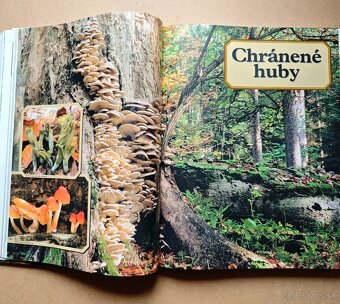 HUBY - VEĽKÁ ENCYKLOPÉDIA - 6