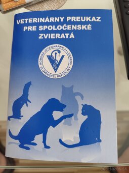 Zadarmo Bigla pol roka aj z papiermi - 6
