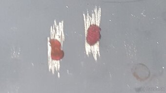 Investičné striebro – svietnik/vázička- rok 1908- 124g - 6