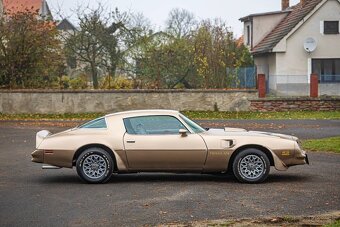 Pontiac Firebird  1977 - 6