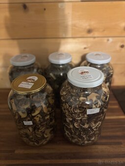sušené hríby / huby , Suchohríb hnedý a Kozák Topoľový - 6