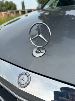 Mercedes - 6