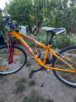 Author 24ka bicykle - 6
