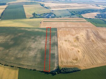 Pastuchov (Hlohovec) - 9.956 m2 ORNÁ PÔDA v komasácii - 6