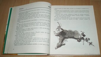 Z poľovníckej kapsy - 6