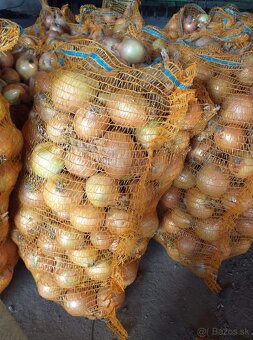 Cerstva Kapusta rezana 0.70€/kg zemiaky 0.53€/kg - 6
