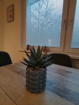 Na prenájom 1-izbovy byt - 6