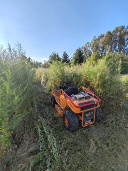 Záhradné služby /úprava zelene - 6
