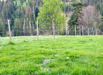 POZEMOK v Celosti 67 000m2, Potok, Elektrika, Stavebné Povol - 6