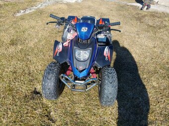 Stels ATV 50C 2T - 6