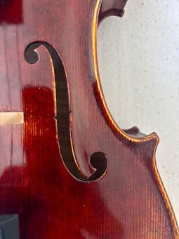 Viola - 6