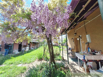 Ihneď obývateľný rodinný dom na rozľahlom pozemku na okraj - 6