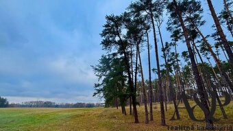 NA PREDAJ ROZĽAHLÝ POZEMOK, 246621 M2, LAKŠÁRSKA NOVÁ VES, o - 6