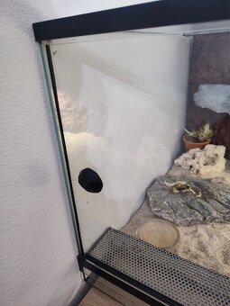 Predám terarium - 6